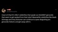 Netizens call out Hollywood for not firing Noah Schnapp or Amy Schumer but dropping Barrera for pro-Palestine posts. (Image via X/@wiIdthouqhts)